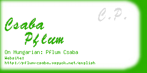 csaba pflum business card